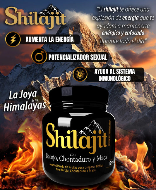 EL ORO DEL HIMALAYA SHILAJIT:  ENERGIA PURA, VITALIDAD NATURAL